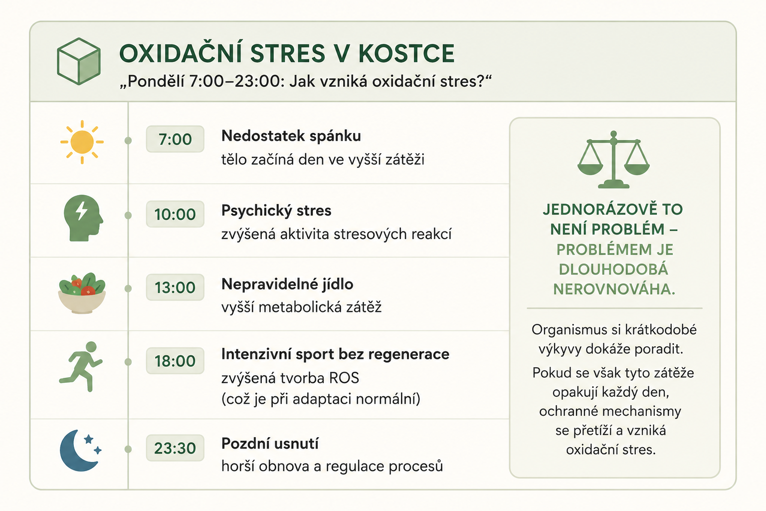 Oxidační stres v kostce